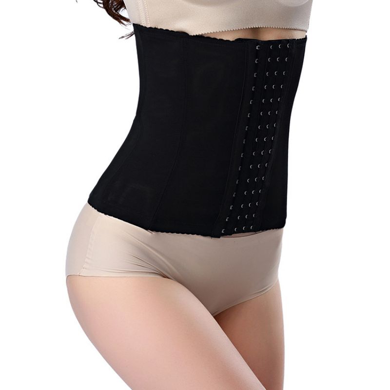 Body Shaper Taillentrainer Bod – Corset Waist Cinch Bewertung und Preis